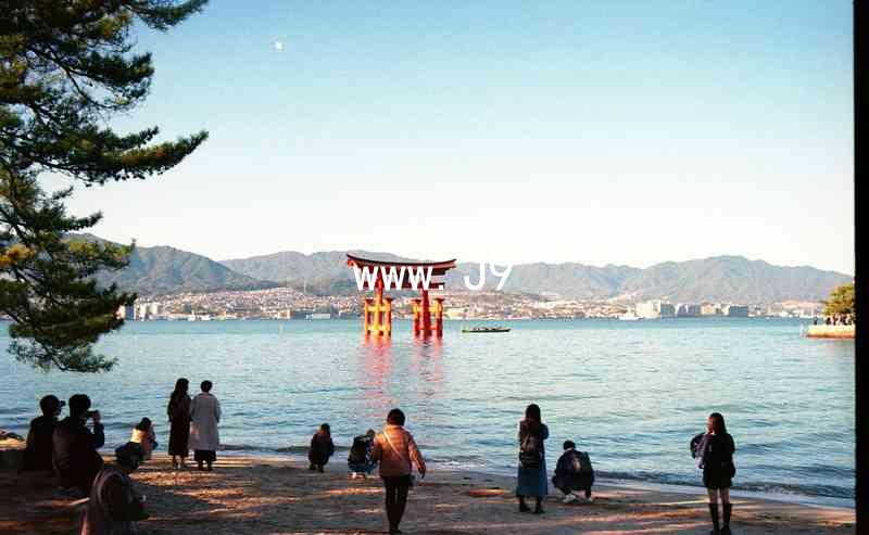 www.J9