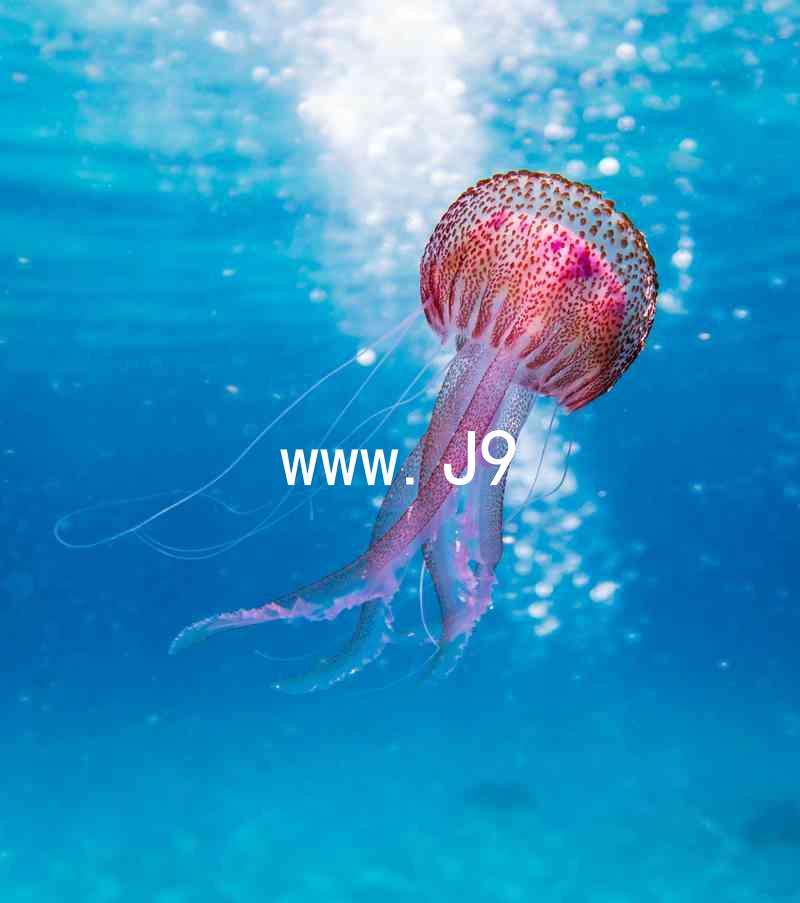 www.J9